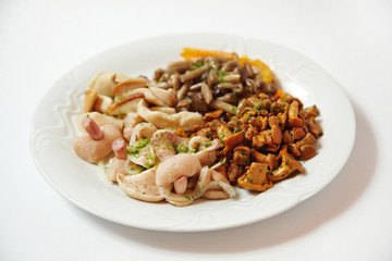 Salad of different kinds of mushrooms, close up isolated on white