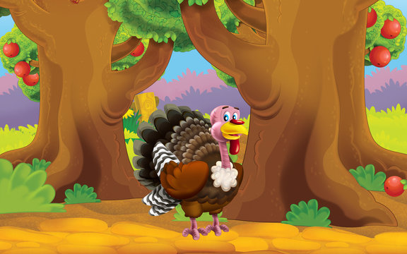 Cartoon farm scene with animal - turkey - illustration for children