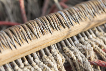 longline for cat fish.hooks on snoods secured in wood