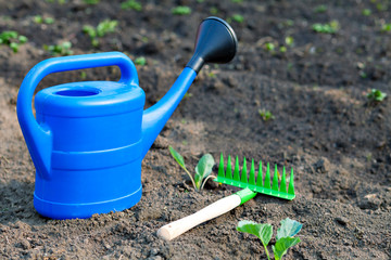 Colorful garden tools, a blue plastic watering can and rake.