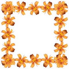Floral pattern. Orange lily 