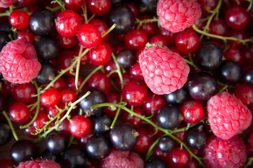 Heap of juicy colorful summer berries. Top view, close up