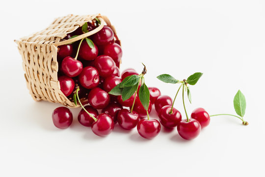 Basket Of Fresh Sour Cherries