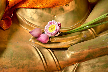 Lotus in hand image of buddha