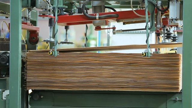 technology of plywood production