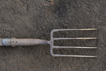 harvesting topic: old rusty fork lying on the black soil in the garden