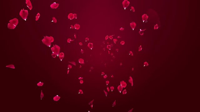 Spreading 3D Rose petals - Motion background