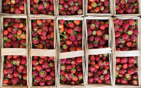 Row of strawberries backets