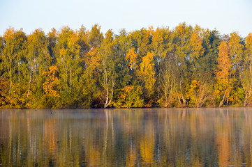 Beautiful nature background with calm waters