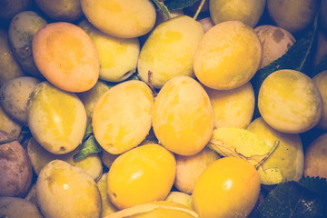 Ripe Yellow Plums Retro