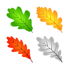 Colorful Oak Leaves