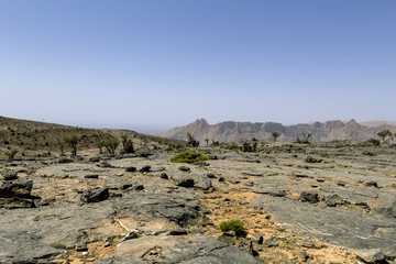 Desert rock panorama