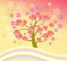 Isolated beautiful cherry blossom tree.