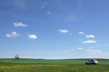 Naklejka premium long summer walks on Russian flowering meadows