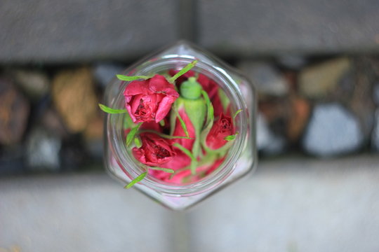 Бутоны дикой розы в граненной стеклянной банке на фоне гальки