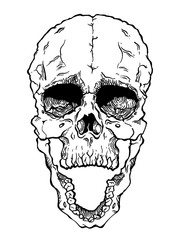 Terrible frightening skull. Creepy illlustration
