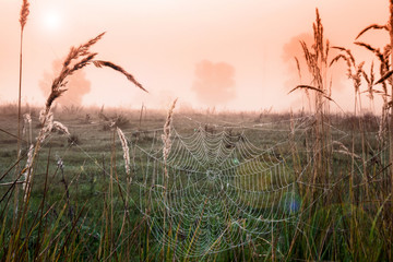 misty autumn morning