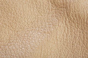 leather texture