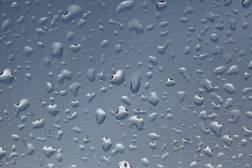 raindrops on the glass