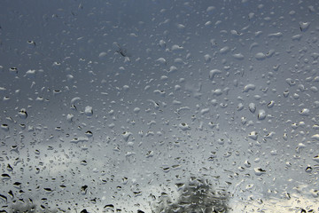 raindrops on the glass