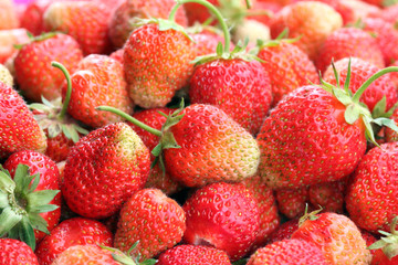 crop of strawberries
