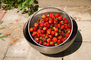 Metal bowl with ripe strawberries on the floor