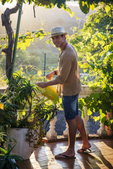 Young man watering plants in garden