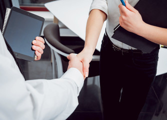 Woman adviser with a businessman. Handshake
