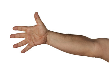 Men's arm with an open hand on a white background