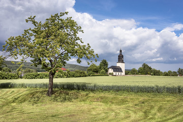 Unterwellenborn, Thuringia, Germany: Cherry tree with village church, corn field and blue cloudy sky in the background
