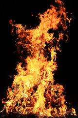 Obraz premium flame