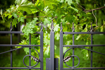 Old metal fence with tree leaves behind