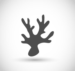Sea coral icon vector