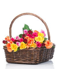 Fototapeta na wymiar Roses in the basket on white background
