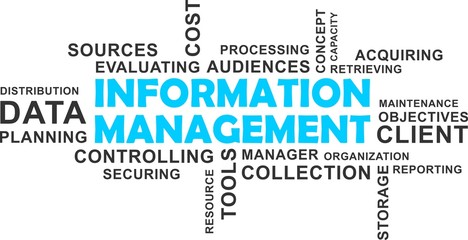 word cloud - information management