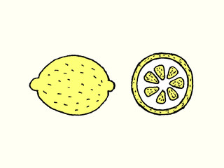 Lemon pieces, hand drawn vector illustration