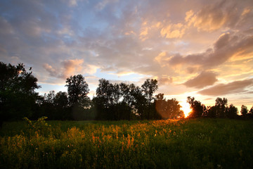 Obraz premium sunset over the meadows
