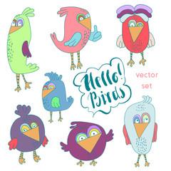Cartoon set of funny colourful bird. Little cute birds isolated. Vector illustration collection