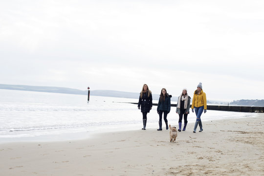 Group Of Friends Enjoying Winter Walk On Beach With Dog