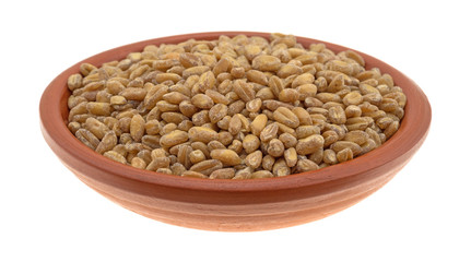 Small bowl of red winter wheat berries on white background side view.
