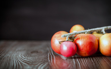Tomatoes on branch. Wooden board dark background copy space