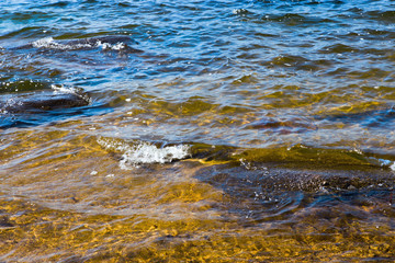 clear water in the lake Borovoe in Kazakhstan