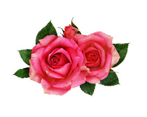 Pink rose flowers bouquet