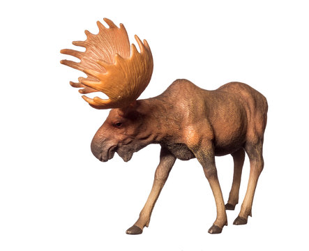 recommend clip art: Figure of a moose