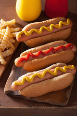 grilled hot dogs with mustard ketchup and french fries