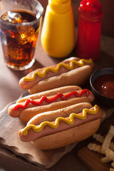 grilled hot dogs with mustard ketchup and french fries