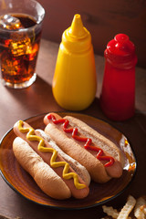 grilled hot dogs with mustard ketchup and french fries