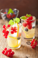 summer lemonade with berry and lemon