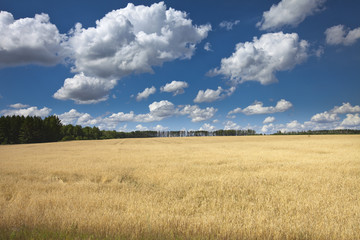 Obraz premium clouds over the field