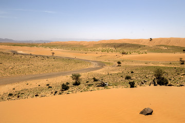 Fototapeta na wymiar Oman desert